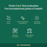 Vitals Core Test 100+ ค่าชี้วัดสุขภาพ | วิเคราะห์วิตามินและภาวะขาดสารอาหาร