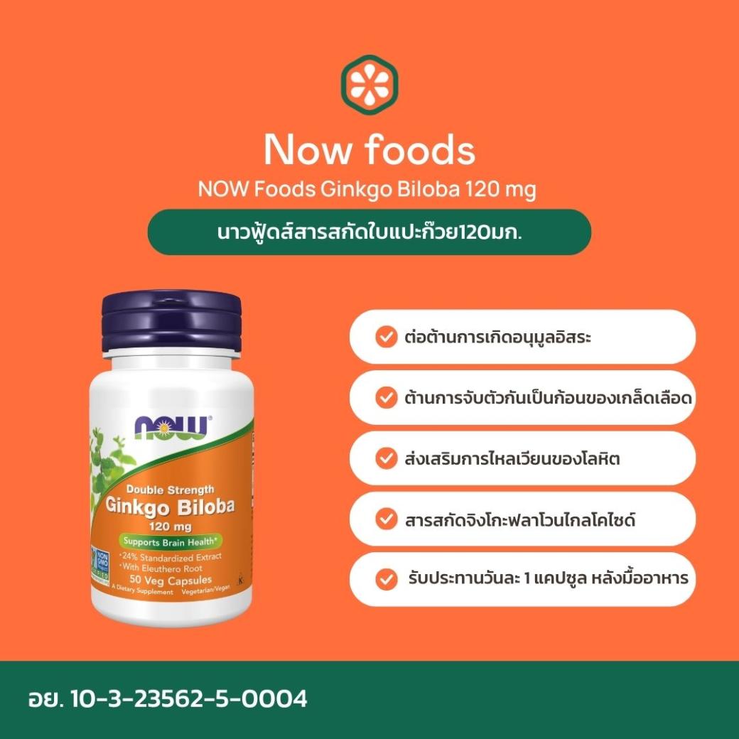 Now Foods Ginkgo Biloba 120 mg