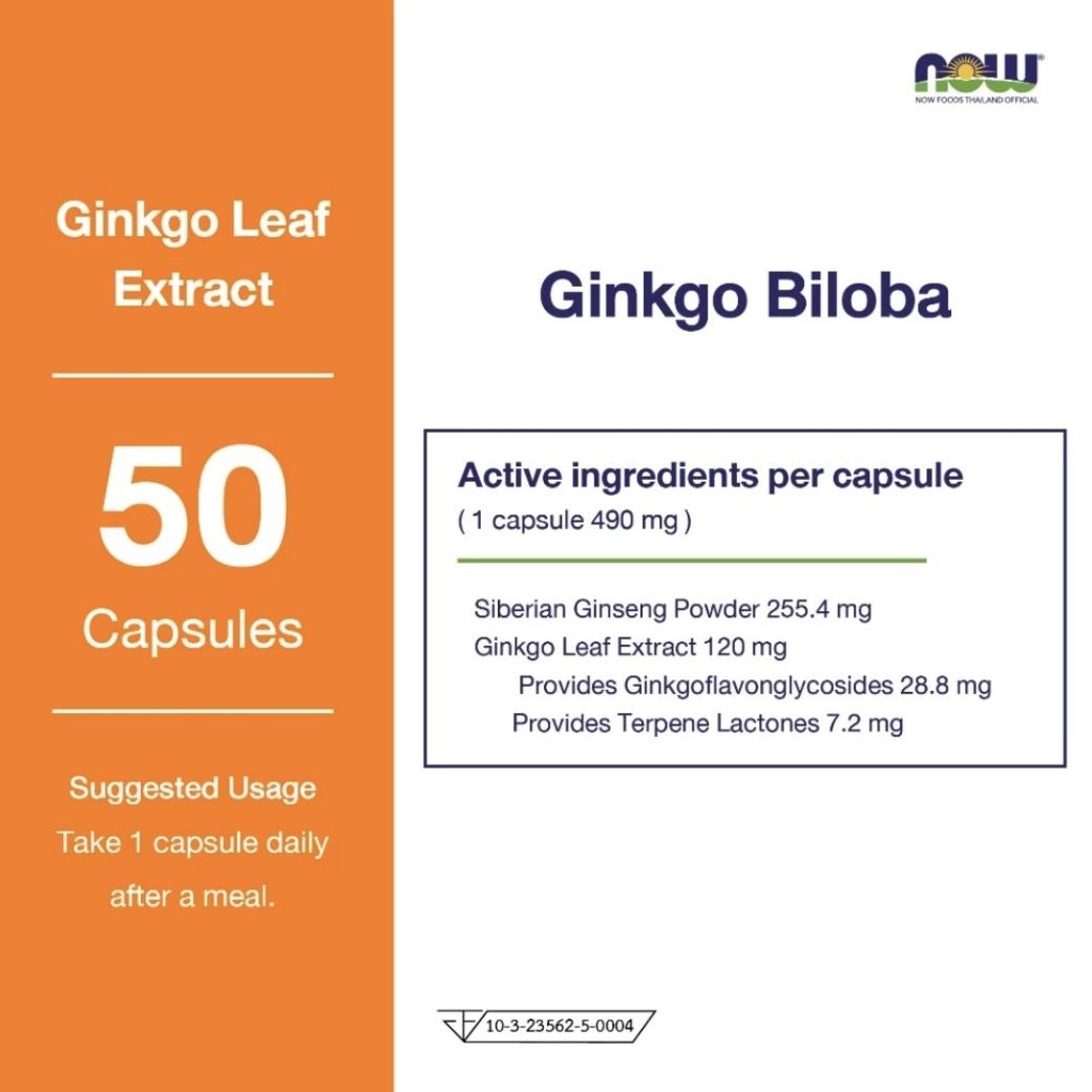 Now Foods Ginkgo Biloba 120 mg