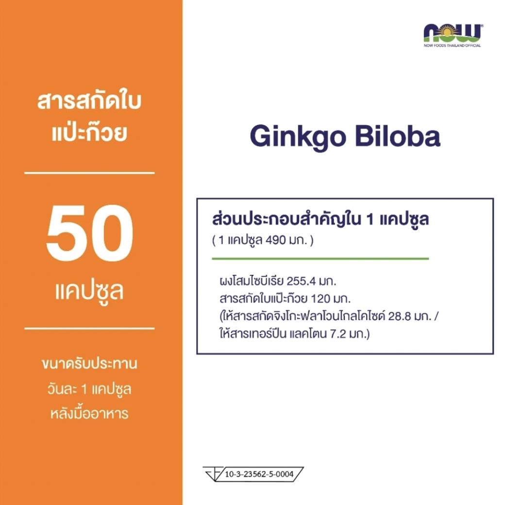 Now Foods Ginkgo Biloba 120 mg